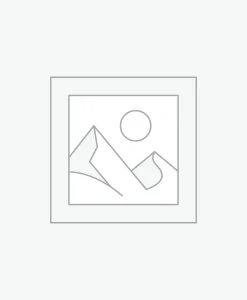 Nơi nhập dữ liệu